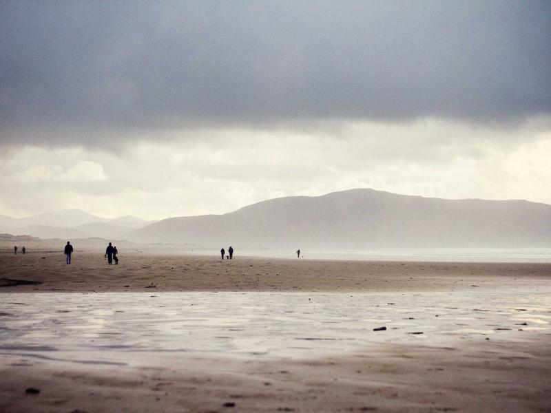 选品雷达<br>竞品监控与爆款捕捉
